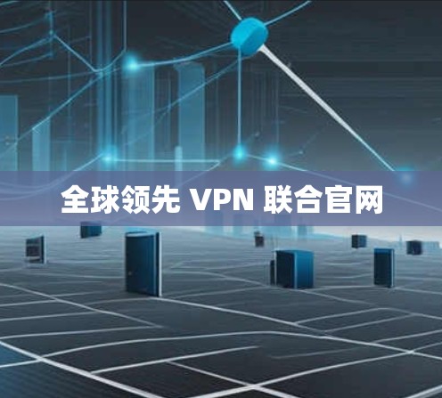 全球领先 VPN 联合官网