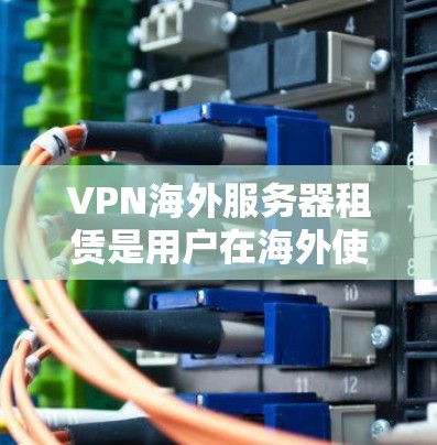 VPN海外服务器租赁是用户在海外使用VPN时的一种选择，有助于节省时间和资源。以下是对 VPN 网站和服务器租赁的详细分析