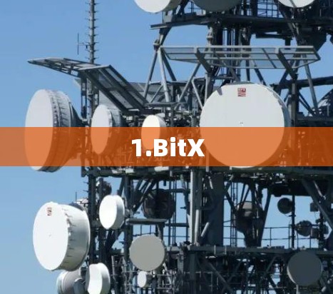 1.BitX