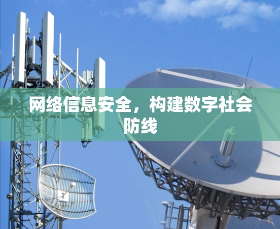 网络信息安全，构建数字社会防线