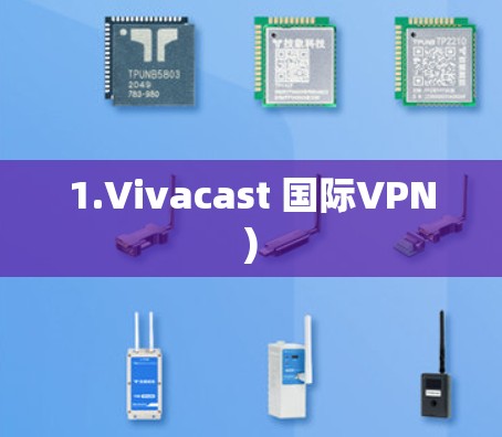 1.Vivacast 国际VPN)