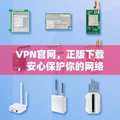 VPN官网，正版下载，安心保护你的网络