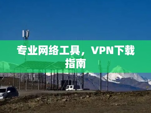 专业网络工具，VPN下载指南
