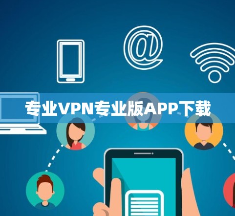 专业VPN专业版APP下载