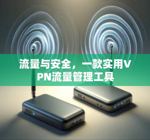 流量与安全，一款实用VPN流量管理工具