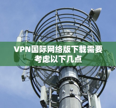 VPN国际网络版下载需要考虑以下几点