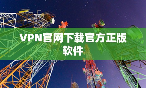 VPN官网下载官方正版软件