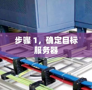 步骤 1，确定目标服务器