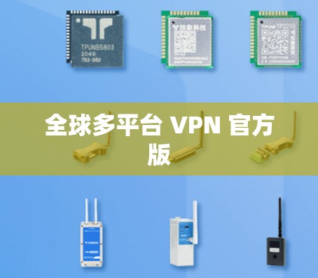 全球多平台 VPN 官方版
