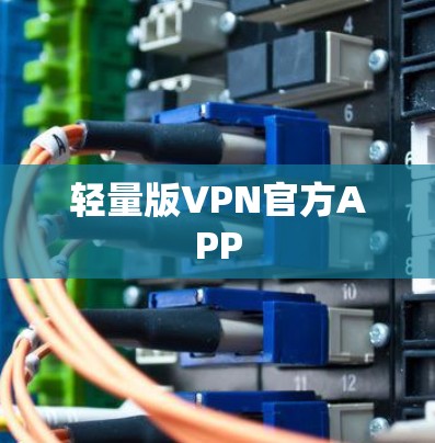 轻量版VPN官方APP
