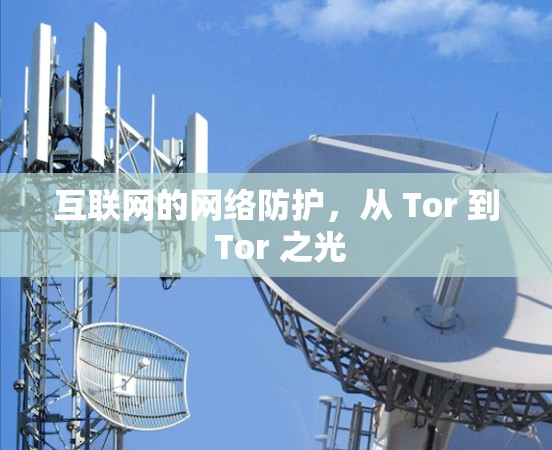 互联网的网络防护，从 Tor 到 Tor 之光
