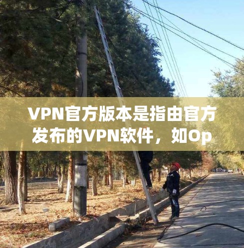 VPN官方版本是指由官方发布的VPN软件，如OpenVPN、VPN Origin、Proton VPN等。这些软件是由专业的VPN公司开发，旨在提供安全、高效的VPN服务