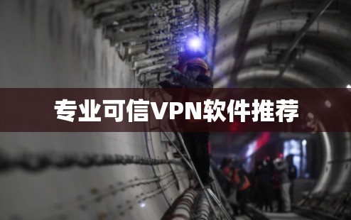 专业可信VPN软件推荐