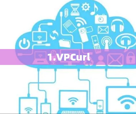 1.VPCurl