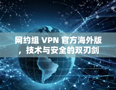 网约组 VPN 官方海外版，技术与安全的双刃剑