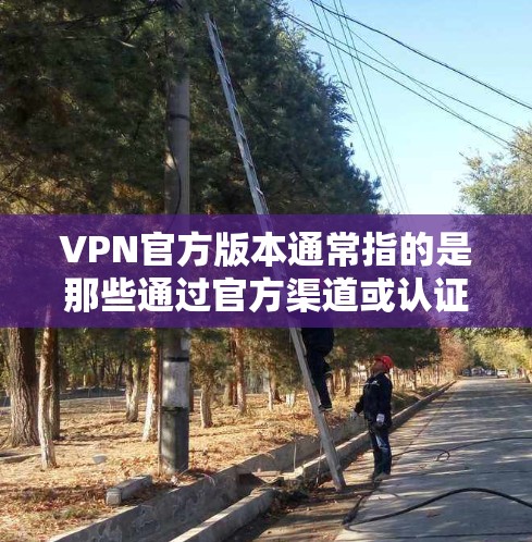 VPN官方版本通常指的是那些通过官方渠道或认证发布的VPN服务，这些版本通常会满足用户对严格访问控制和功能限制的需求。以下是一些常见VPN官方版本的特点和类型