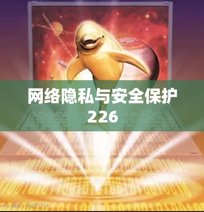 网络隐私与安全保护226