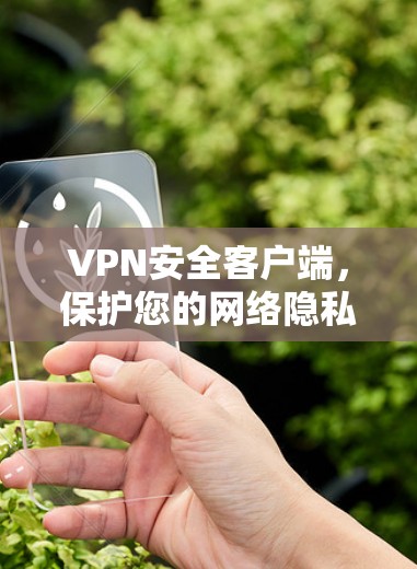 VPN安全客户端，保护您的网络隐私，提升网络安全性