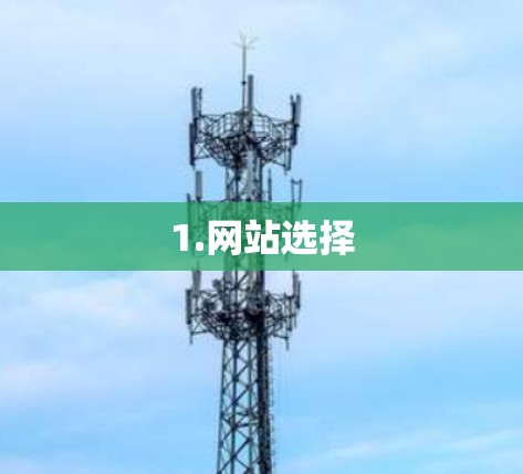 1.网站选择