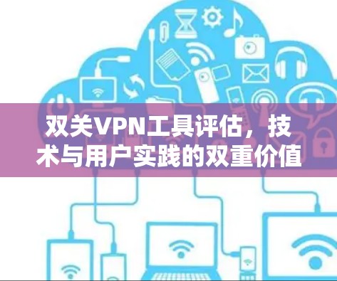 双关VPN工具评估，技术与用户实践的双重价值