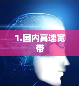 1.国内高速宽带