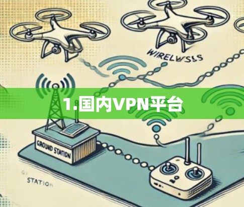 1.国内VPN平台