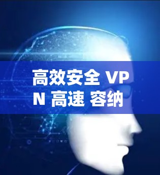 高效安全 VPN 高速 容纳 服务