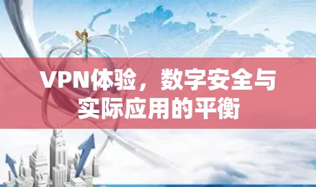 VPN体验，数字安全与实际应用的平衡