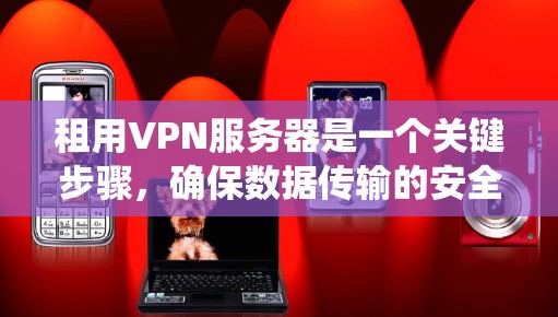 租用VPN服务器是一个关键步骤，确保数据传输的安全和稳定。以下是一个系统化的指南，帮助您完成这一过程