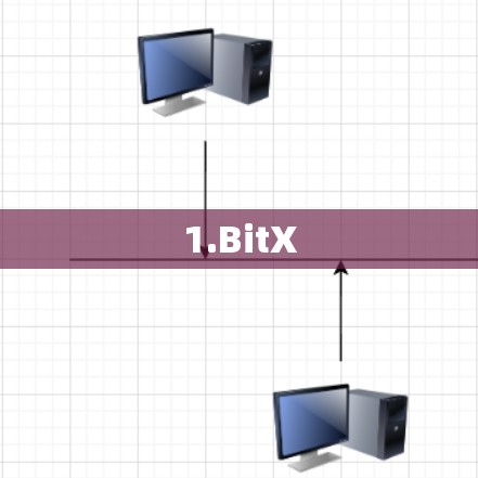 1.BitX