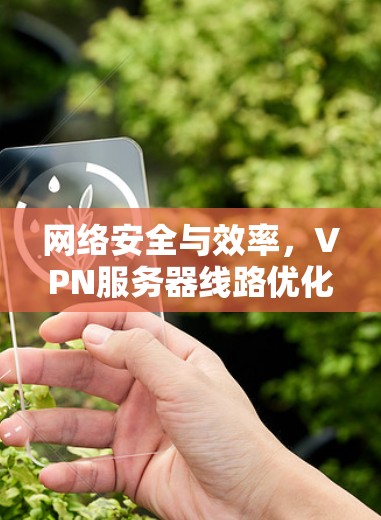 网络安全与效率，VPN服务器线路优化