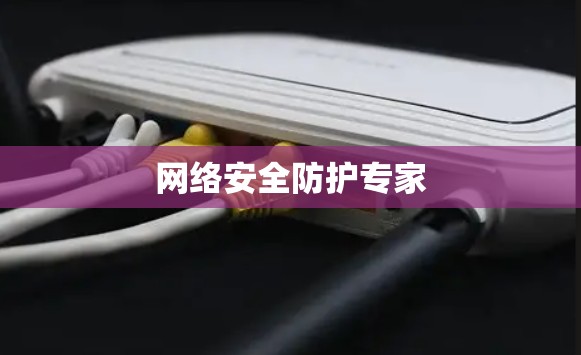 网络安全防护专家