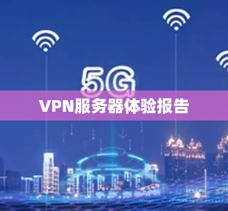 VPN服务器体验报告