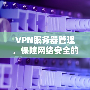 VPN服务器管理，保障网络安全的基石