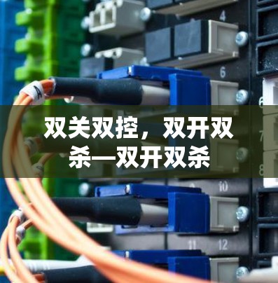 双关双控，双开双杀—双开双杀