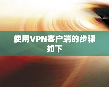 使用VPN客户端的步骤如下