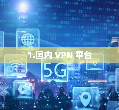 1.国内 VPN 平台