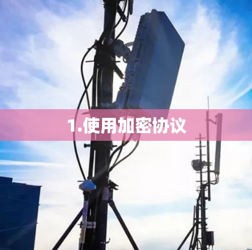 1.使用加密协议