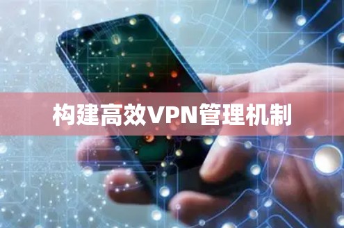 构建高效VPN管理机制