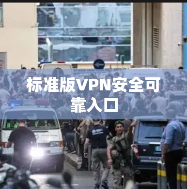 标准版VPN安全可靠入口
