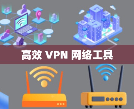 高效 VPN 网络工具