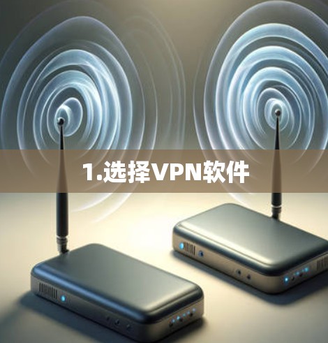 1.选择VPN软件