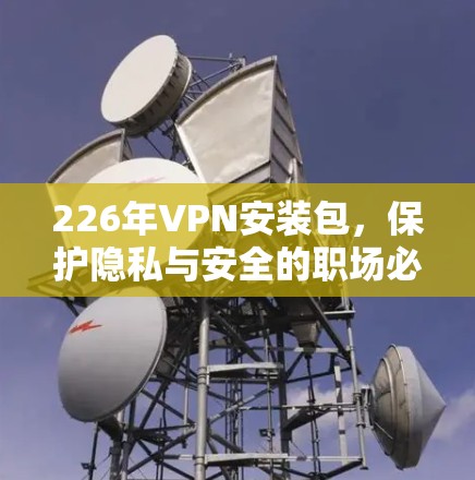 226年VPN安装包，保护隐私与安全的职场必备神器