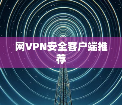 网VPN安全客户端推荐