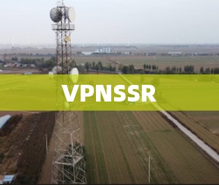 VPNSSR
