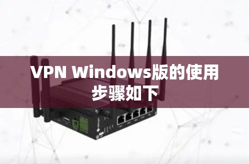 VPN Windows版的使用步骤如下