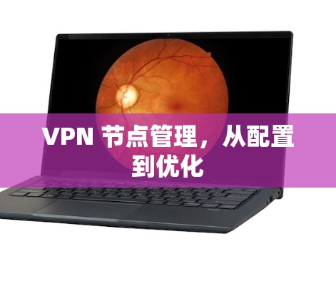 VPN 节点管理，从配置到优化