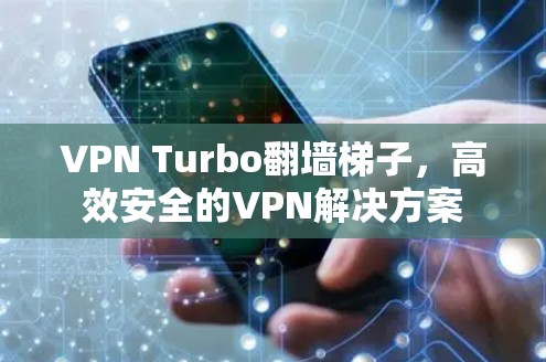 VPN Turbo翻墙梯子，高效安全的VPN解决方案