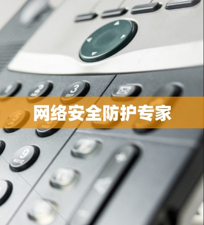 网络安全防护专家