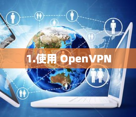 1.使用 OpenVPN
